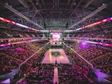 凯尔特人雄鹿NBA比分直播